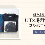 ユニクロ×庵野秀明のコラボTシャツを購入【ゴジラ・仮面ライダー】